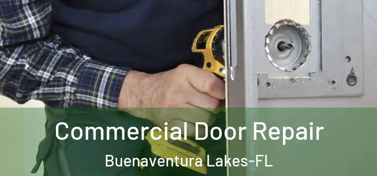  Commercial Door Repair Buenaventura Lakes-FL