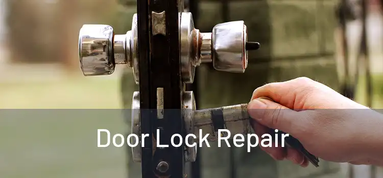 Door Lock Repair