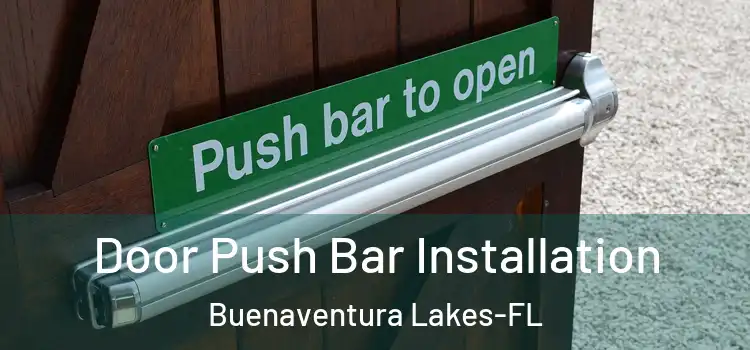  Door Push Bar Installation Buenaventura Lakes-FL