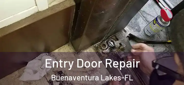Entry Door Repair Buenaventura Lakes-FL
