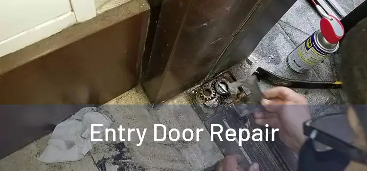 Entry Door Repair