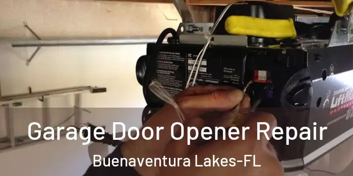  Garage Door Opener Repair Buenaventura Lakes-FL