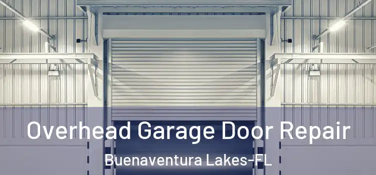  Overhead Garage Door Repair Buenaventura Lakes-FL