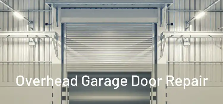 Overhead Garage Door Repair