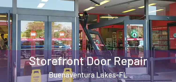 Storefront Door Repair Buenaventura Lakes-FL